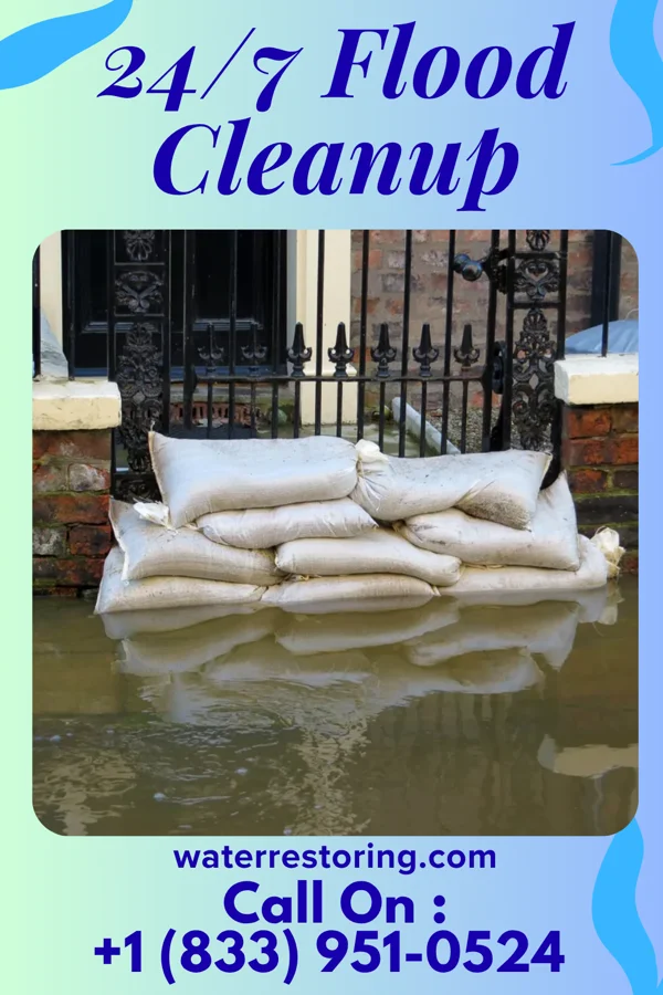 24/7 Flood Cleanup in Gargatha, VA
