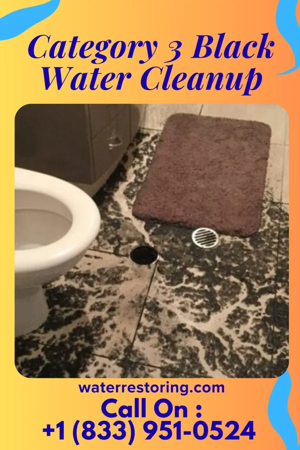 Category 3 Black Water Cleanup in Gargatha, VA