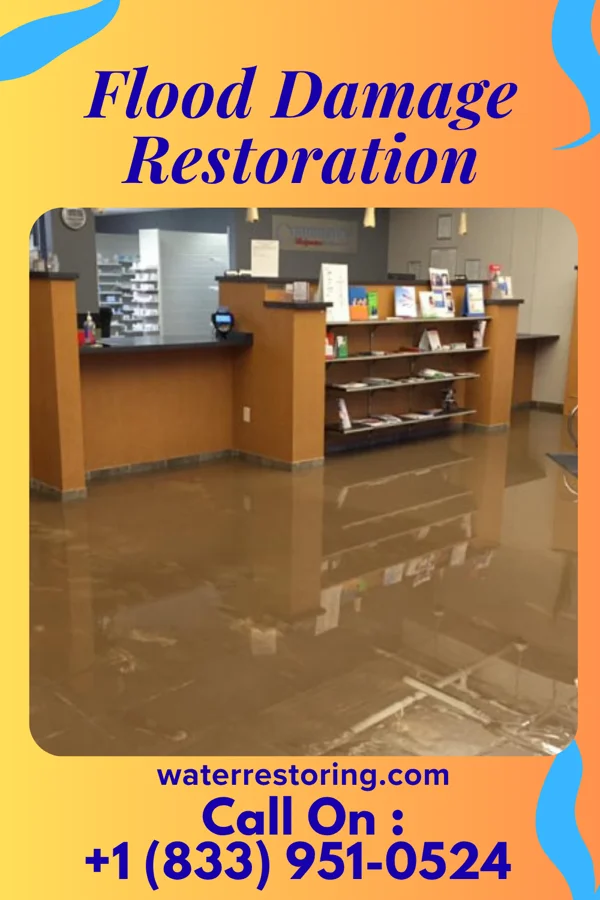 Flood Damage Restoration in Gargatha, VA