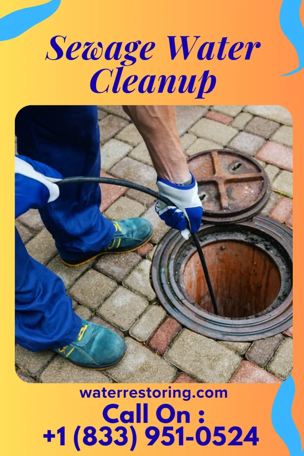 Sewage Water Cleanup in Gargatha, VA